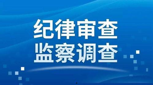 林甸县新闻媒体爆料,重大事件引发社会关注  第2张